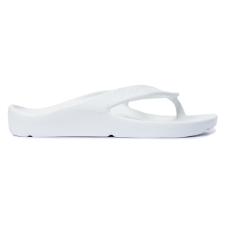 Shark Bianco