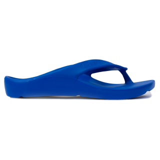 Shark Azzurro